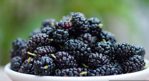 FS63mXj2RL MaQ6k8eQq2AoJZKfwsvARDWQPWVjcxUy5Ek89MW7CmpuYc0flArPyxMMeCeVsGoDy66ni6lWHu7uBXqn50oNKY3Wv.jpg