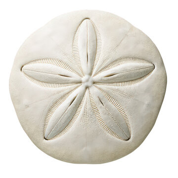 360 F 1438751949 aT1JTYEHhY9k1bVg2dTPaAw0I18asIlq.jpg