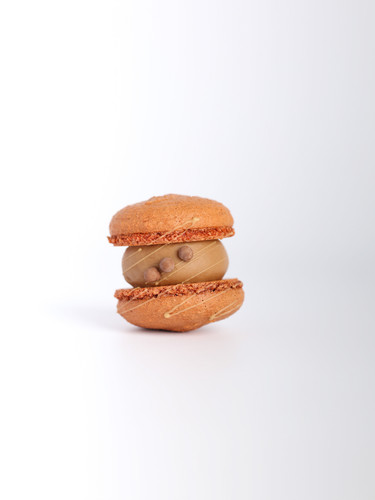 makar slonykarmel.jpg