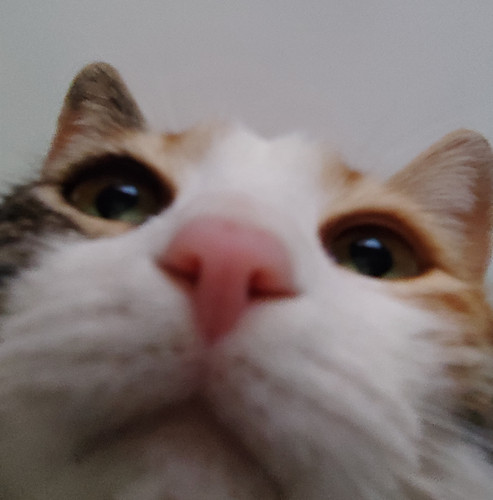 IMG 20250706 185322.jpg