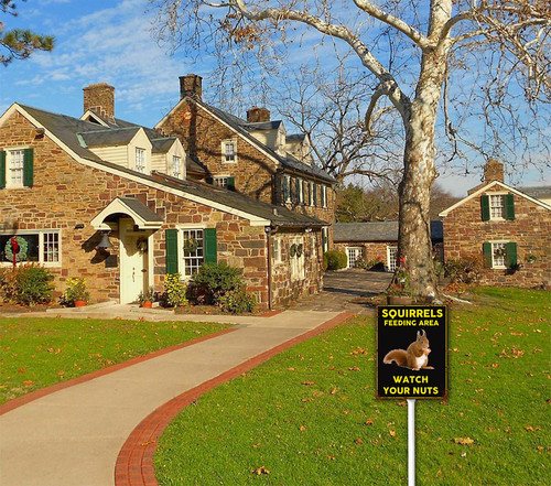 funny decor sign 2 38.jpg