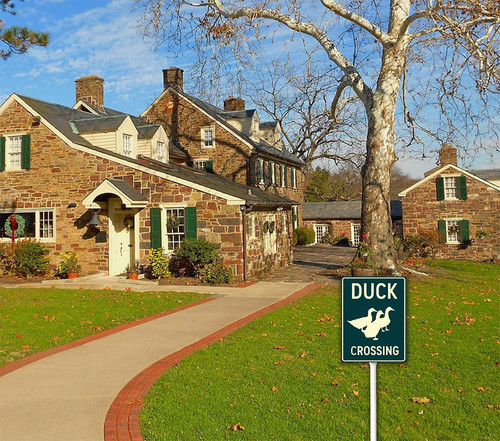 funny decor sign 2 34.jpg