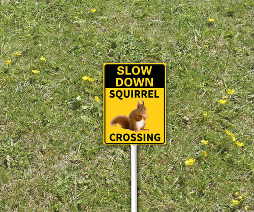 funny decor sign 3 7.jpg