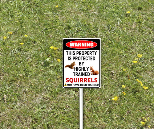 funny decor sign 3 9.jpg