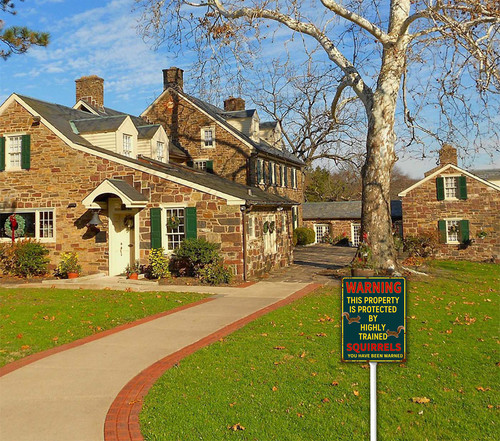 funny decor sign 2 39.jpg