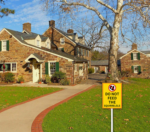 funny decor sign 2 40.jpg