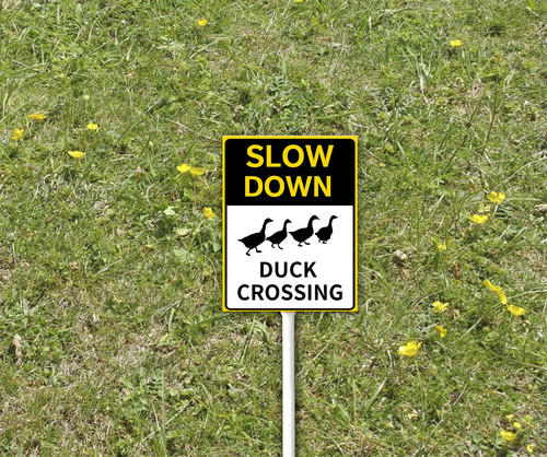 funny decor sign 3 4.jpg