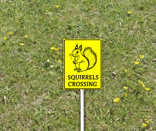 funny decor sign 3 27.jpg