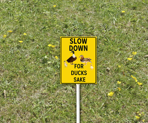 funny decor sign 3 25.jpg