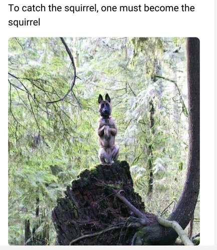 Screenshot 2025 07 07 at 9.27.24 AM.png