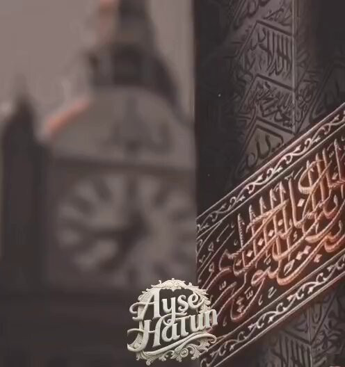 hhQnOp dQTMjYTL8.jpg