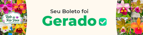 boleto gerado.jpg