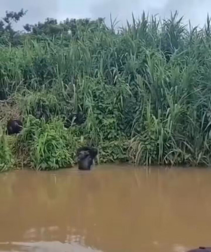 FYV jdFW9RWhkGc .jpg