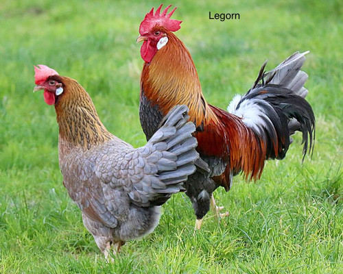 GvBc92qWwAAJKH ?format=jpg.jpg