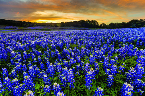 Main Photo scaled.jpg