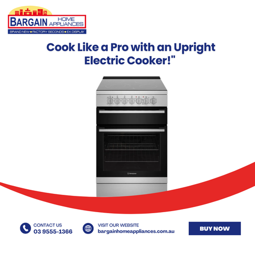 Cook Like a Pro with an Upright Electric Cooker!.png