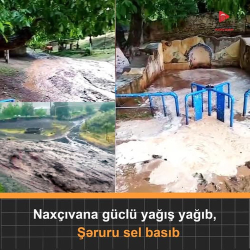 517351876 746954471168091 7393119612641783015 n.jpg?stp=dst jpg p526x296 tt6& nc cat=107&ccb=1 7& nc.jpg