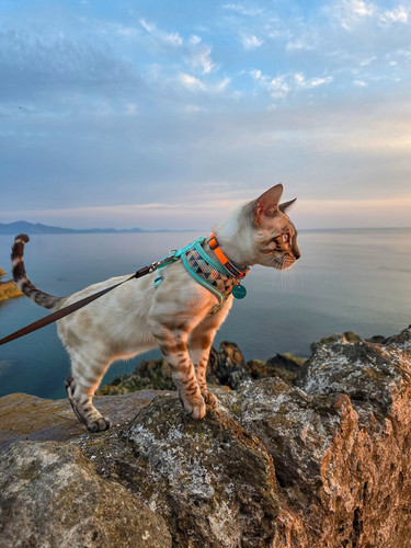 516506372 10081051665283056 1609912231174324705 n.jpg