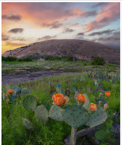 Screenshot 2025 07 06 163225.png