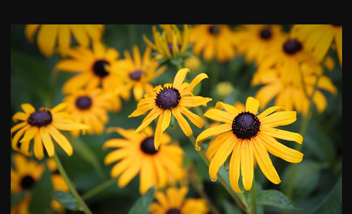 Screenshot 2025 07 06 162924.png