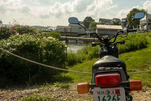 June Holden Visit 15.png