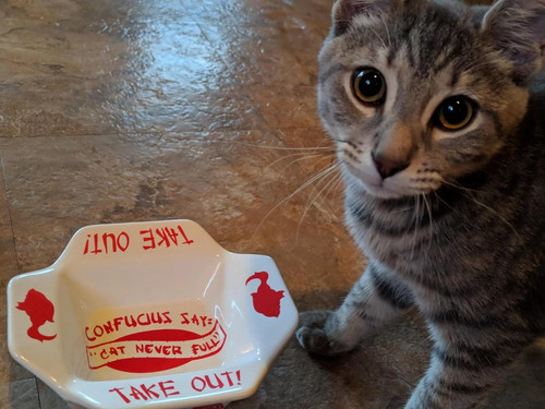 515437702 122206816922123447 8346561879397697017 n.jpg