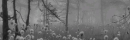 mound b/w.png