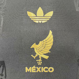 Mexico 2025 2