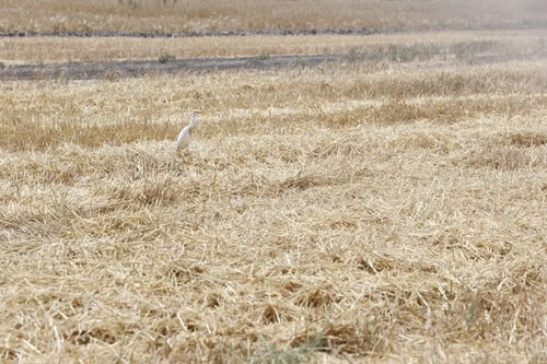 516733859 1137196555107861 3512465770855535442 n.jpg?stp=dst jpg p526x395 tt6& nc cat=109&ccb=1 7& n.jpg