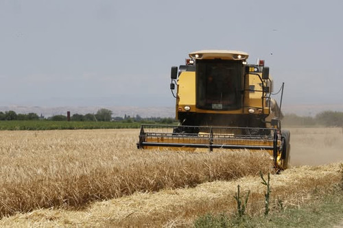 517701493 1137196301774553 5969610030125976636 n.jpg?stp=dst jpg p526x395 tt6& nc cat=100&ccb=1 7& n.jpg