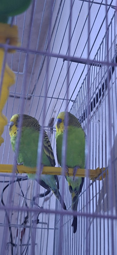 ٢٠٢٥٠٧٠٦ ١٦٣٨٣٠.jpg