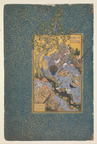 Habiballah of Sava The Concourse of the Birds, Folio 11r from a Mantiq al Tayr (Language of the Bird.jpg