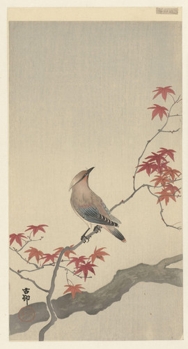 Ohara Koson (1877 1945) Japanese waxwing on maple t3 1lni6jt.jpg