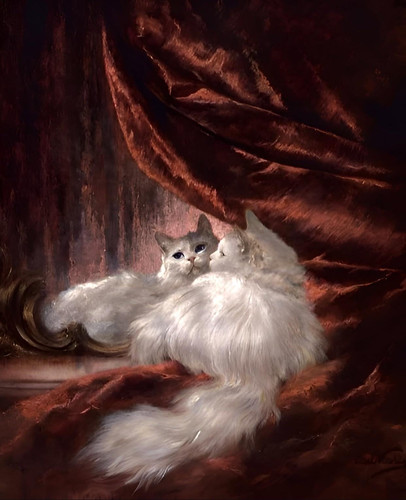 Carl Kahler, (1856 –1906), Portrait of a White Cat Seated Before a Mirror t3 1locd1s.jpg