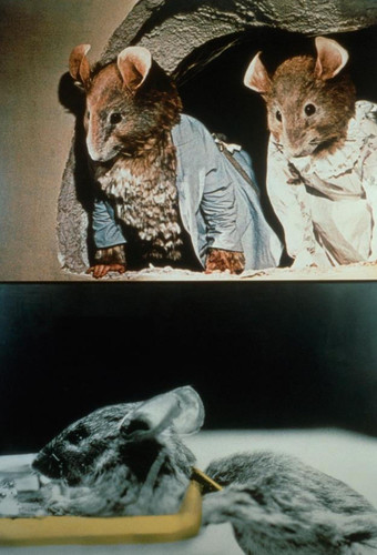 John Baldessari Two Onlookers and Tragedy (With Mice) (1989) t3 1lodsv7.jpg