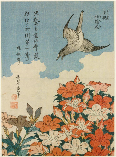 Katsushika Hokusai Cuckoo and Azaleas (1828) t3 1lh7qrl.jpg
