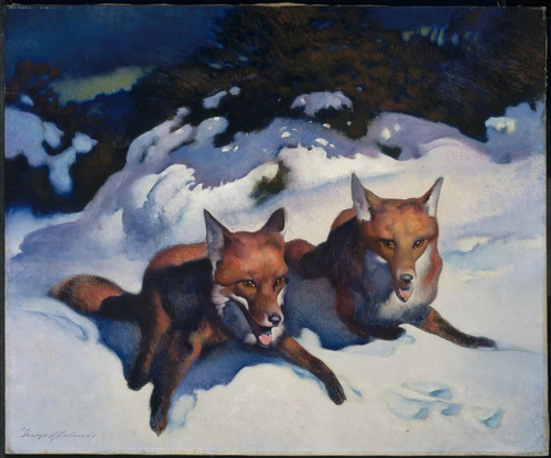 George Hawley Hallowell Two Foxes (1923) t3 1l50ldj.jpg
