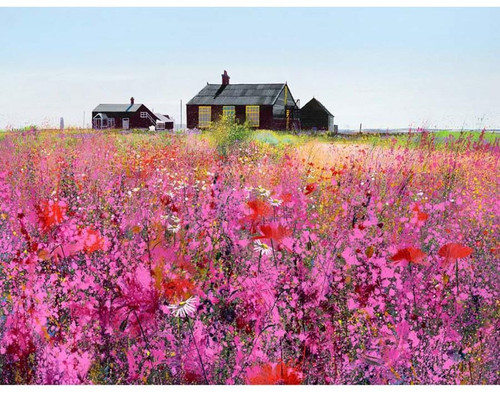 Paul Evans (b. 1954) Summer Colours t3 1l70b8c.jpg