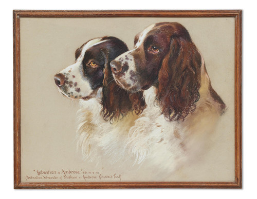 Phyllis Binet 'Sebastian' and 'Ambrose', Springer Spaniels (1954) t3 1lopcur.jpg