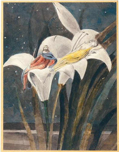 William Blake Oberon and Titania on a Lily (1757 1827) t3 1l6a9sd.jpg