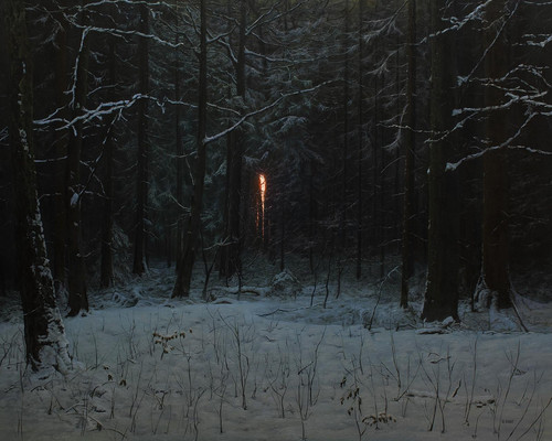 Michael Handt Last Light in the Forest (2018) t3 1l32yrb.jpg