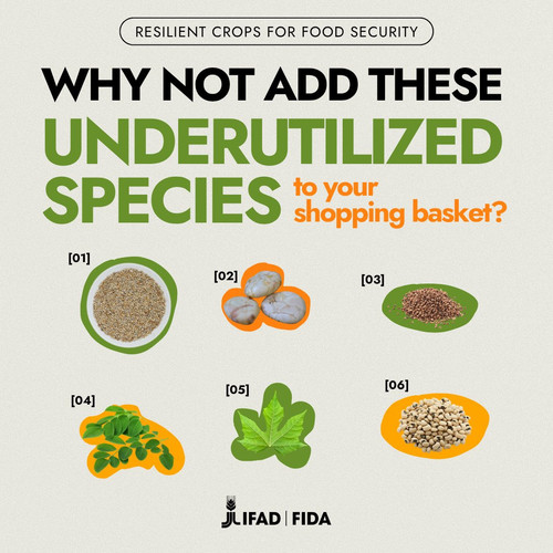 GvQyi CWwAAxBT4?format=jpg.jpg