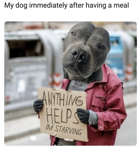 Screenshot 2025 07 08 at 9.21.03 AM.png