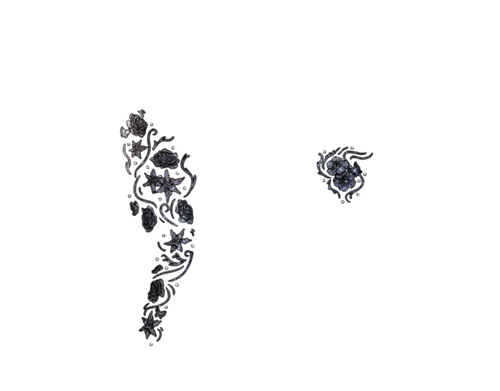 tats constelation.png