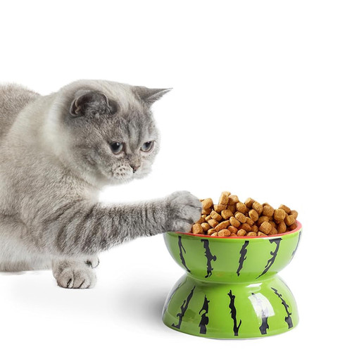 71RSa3Uq5BL. AC SL1500 .jpg