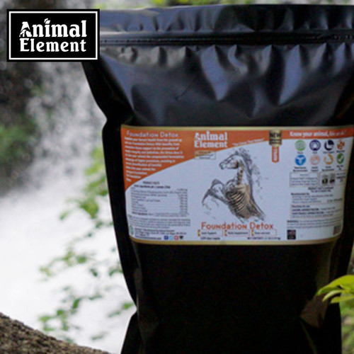 Natural MSM Support for Equine Joint Health.jpg