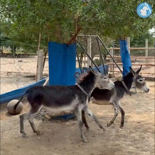 W SML BS6CQ7Qh9c.jpg