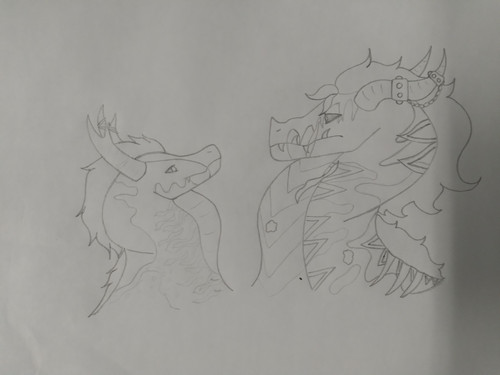 20250702 115155(1).jpg