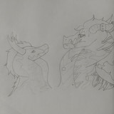 20250702 115155(1)