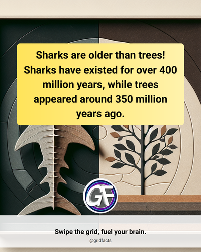 09dbfcb6 b0a7 471c b8fe 33425a91031c.png